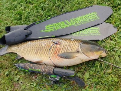 Лопасти карбоновые для ласт Salvimar SPEEDER CARBO  в www.aquatavr.ru с гарантией качества