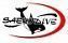 SAEKODIVE